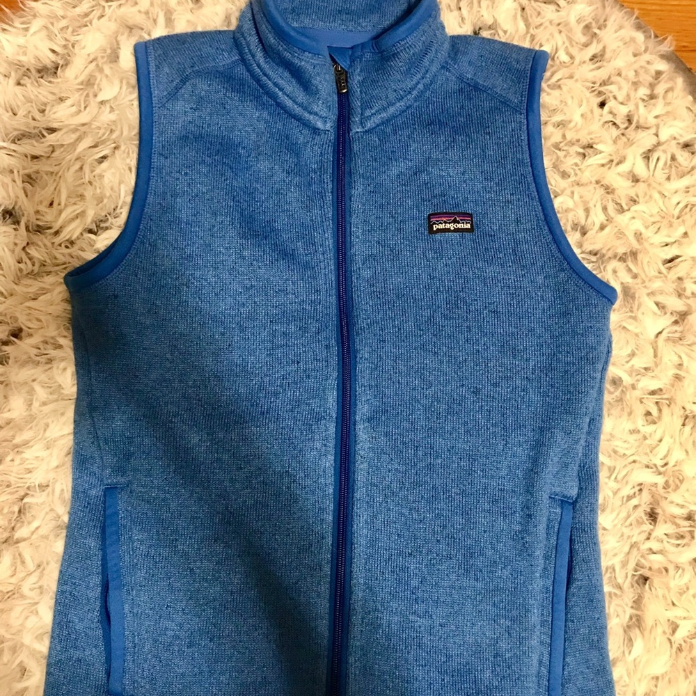 Like new blue Patagonia vest